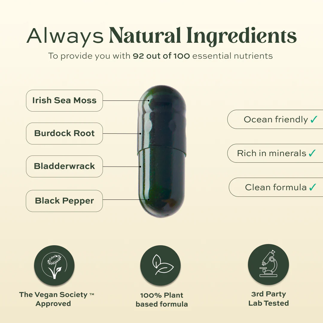 Irish Sea Moss - Image 3